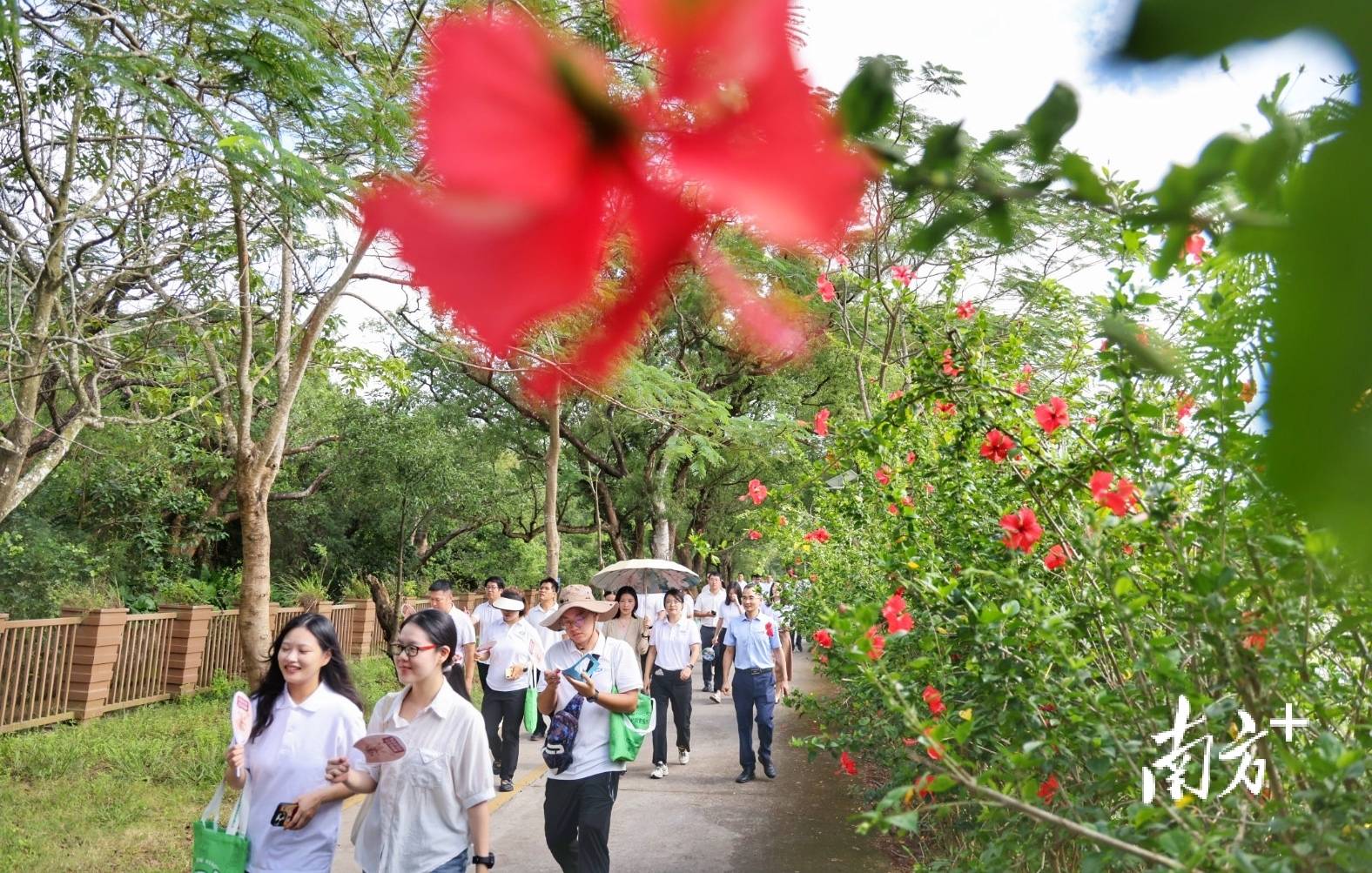 中山城建集團(tuán)“連心橋”移交<strong></p>
<p>金屬制品廠
</strong>，村企共建繪就桂南新畫卷:金屬制品廠
