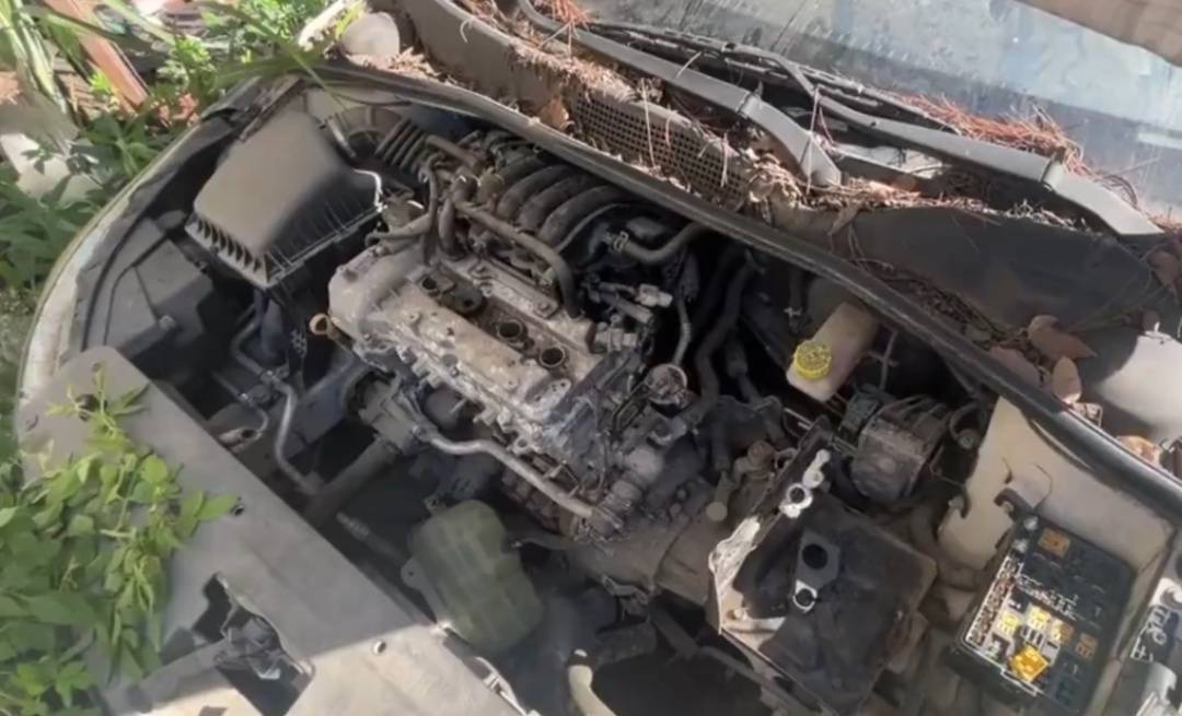 浙江男子把私家車停路邊兩年，一次也沒去看過！如今要用車時傻眼：還能這樣？:金屬制品廠
