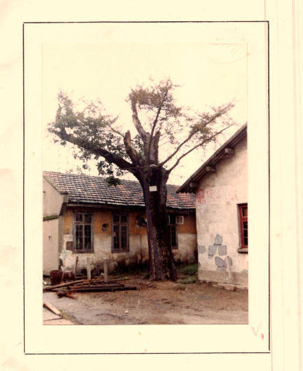 上海的真如寺大殿和650歲古銀杏一起入選國家級(jí)名錄:金屬制品廠
