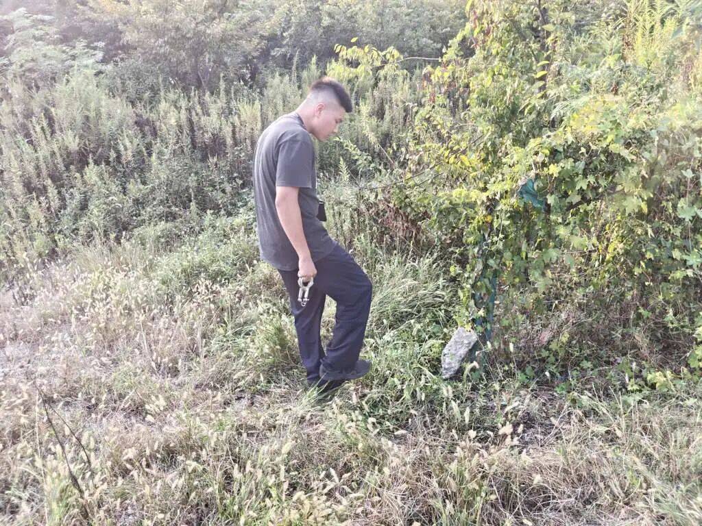 浙江一姑娘以奶茶為記號，竟然在草叢里藏了11萬現金！:金屬制品廠
