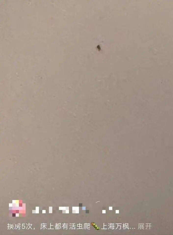 被投訴“連換5次房床上都有蟲爬”，涉事高檔酒店回應:金屬制品廠
