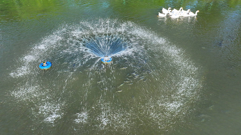 農(nóng)婦荒塘內(nèi)開(kāi)挖養(yǎng)魚(yú)被控罪，免于刑事處罰也很冤:金屬制品廠(chǎng)
