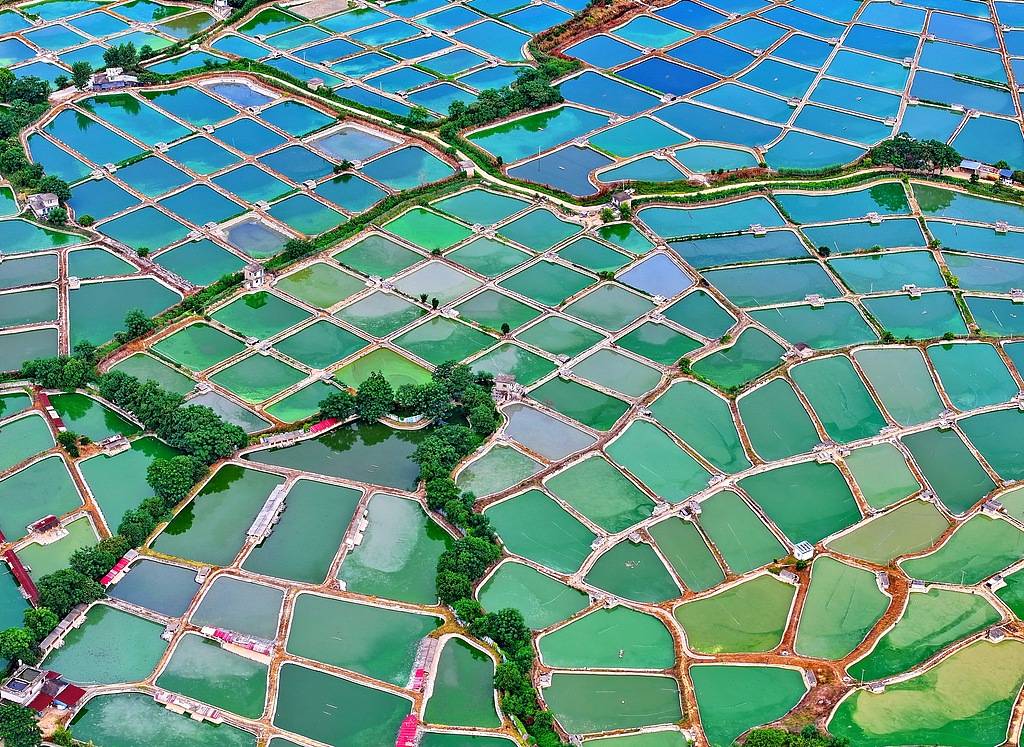 農婦荒塘內開挖養魚被控罪<strong></p>
<p>金屬制品廠
</strong>,免于刑事處罰也很冤:金屬制品廠