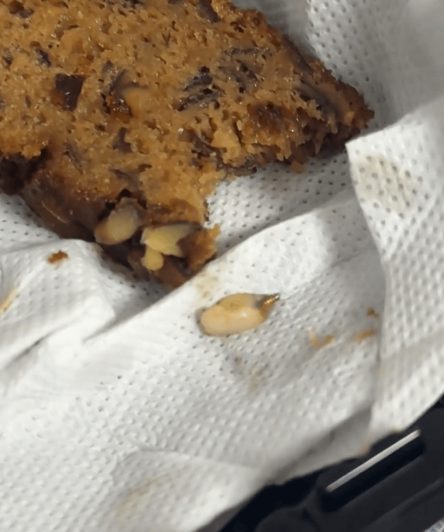 山姆棗泥核桃蛋糕吃出“一顆牙”？客服回應：很驚訝<strong></p>
<p>金屬制品廠
</strong>，已反饋工廠排查:金屬制品廠
