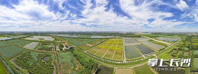 荒灘變綠洲 湖畔起樂(lè)園｜一江碧水向東流:金屬制品廠
